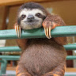 Meet your Posher, Gabriella